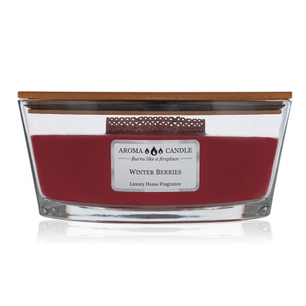 Aroma Candle Tricolor Winter Red Berries